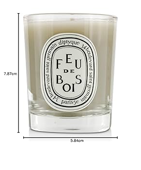 Feu de Bois (Firewood) Mini Candle 70 g by Diptyque : Amazon